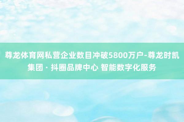 尊龙体育网私营企业数目冲破5800万户-尊龙时凯集团 · 抖圈品牌中心 智能数字化服务