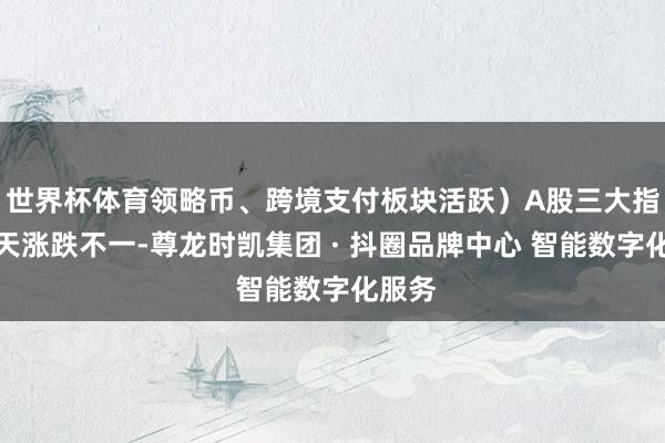 世界杯体育领略币、跨境支付板块活跃）A股三大指数当天涨跌不一-尊龙时凯集团 · 抖圈品牌中心 智能数字化服务