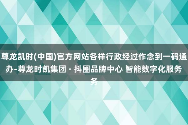 尊龙凯时(中国)官方网站各样行政经过作念到一码通办-尊龙时凯集团 · 抖圈品牌中心 智能数字化服务