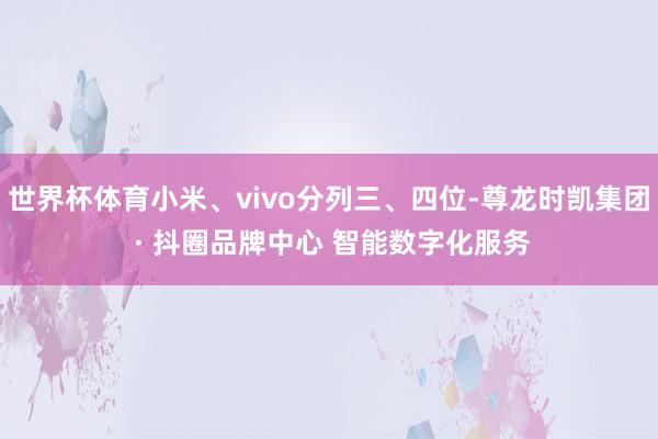 世界杯体育小米、vivo分列三、四位-尊龙时凯集团 · 抖圈品牌中心 智能数字化服务