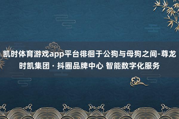 凯时体育游戏app平台徘徊于公狗与母狗之间-尊龙时凯集团 · 抖圈品牌中心 智能数字化服务