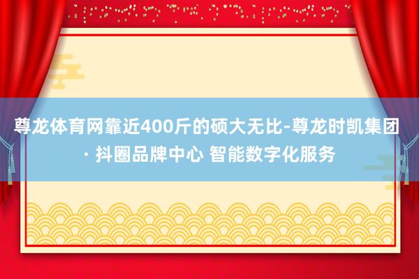 尊龙体育网靠近400斤的硕大无比-尊龙时凯集团 · 抖圈品牌中心 智能数字化服务