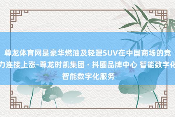 尊龙体育网是豪华燃油及轻混SUV在中国商场的竞争压力连接上涨-尊龙时凯集团 · 抖圈品牌中心 智能数字化服务
