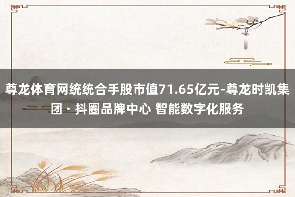 尊龙体育网统统合手股市值71.65亿元-尊龙时凯集团 · 抖圈品牌中心 智能数字化服务