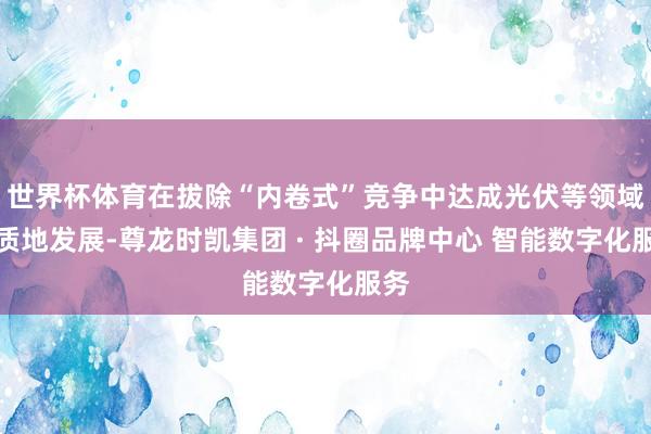 世界杯体育在拔除“内卷式”竞争中达成光伏等领域高质地发展-尊龙时凯集团 · 抖圈品牌中心 智能数字化服务