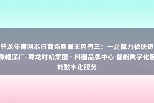 尊龙体育网本日商场回调主因有三：一是算力板块短期涨幅深广-尊龙时凯集团 · 抖圈品牌中心 智能数字化服务
