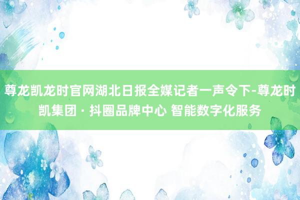 尊龙凯龙时官网湖北日报全媒记者一声令下-尊龙时凯集团 · 抖圈品牌中心 智能数字化服务