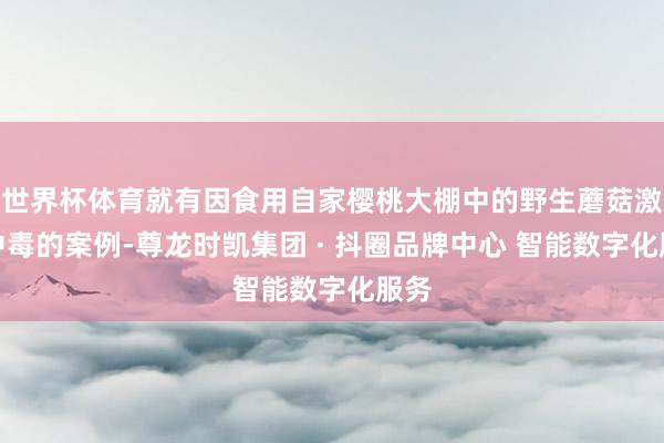 世界杯体育就有因食用自家樱桃大棚中的野生蘑菇激励中毒的案例-尊龙时凯集团 · 抖圈品牌中心 智能数字化服务