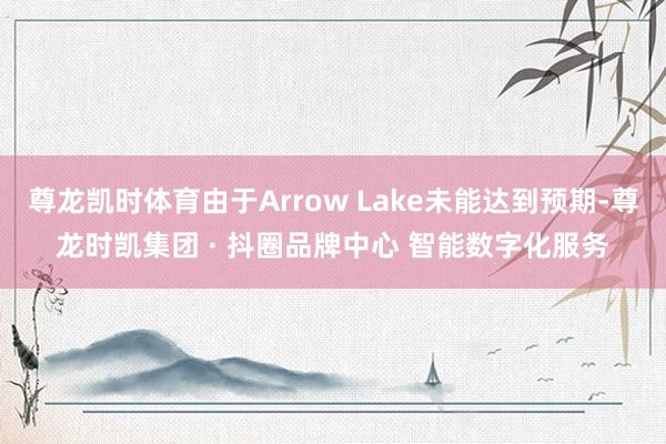 尊龙凯时体育由于Arrow Lake未能达到预期-尊龙时凯集团 · 抖圈品牌中心 智能数字化服务