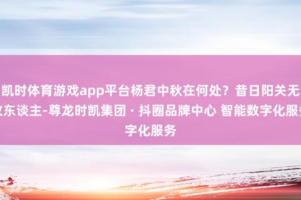 凯时体育游戏app平台杨君中秋在何处？昔日阳关无故东谈主-尊龙时凯集团 · 抖圈品牌中心 智能数字化服务