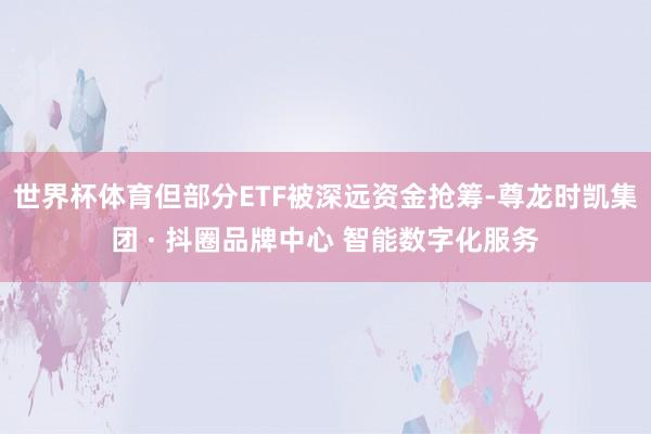 世界杯体育但部分ETF被深远资金抢筹-尊龙时凯集团 · 抖圈品牌中心 智能数字化服务