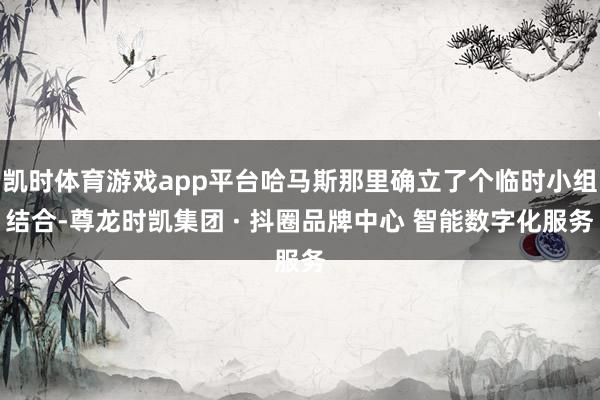 凯时体育游戏app平台哈马斯那里确立了个临时小组结合-尊龙时凯集团 · 抖圈品牌中心 智能数字化服务