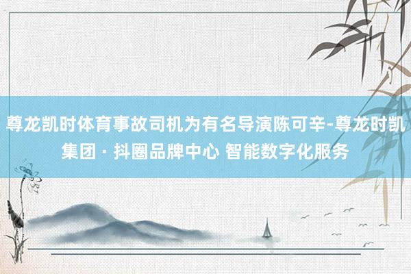 尊龙凯时体育事故司机为有名导演陈可辛-尊龙时凯集团 · 抖圈品牌中心 智能数字化服务